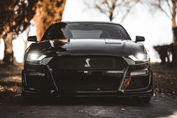 ラピランダーズ カジノ Android/iOS アプリ